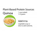 Quinoa